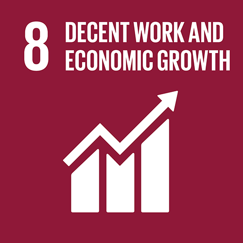 SDG goal 8 – Decent work and economic growth