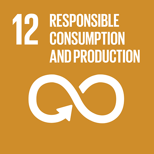 SDG goal 12 – Responsible consumption and production