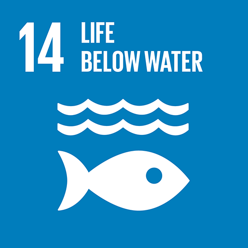 SDG goal 14 – Life below water