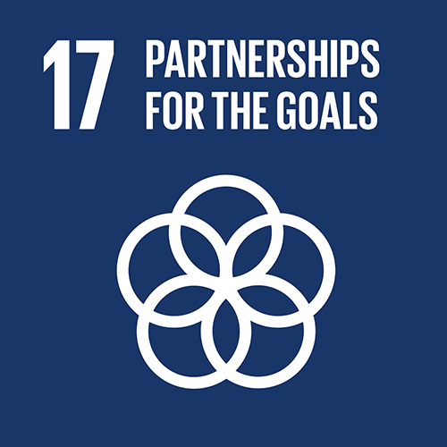 SDG goal 17 – Partnerships for the goals